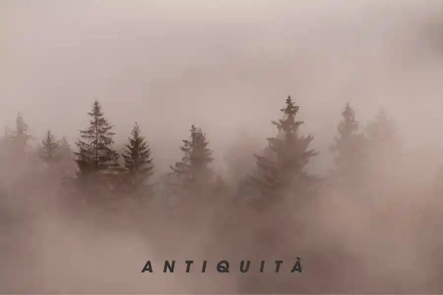 Antiquità: Unveiling the Beauty of the Past
