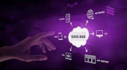 Everything You Need To Know about ssis 816